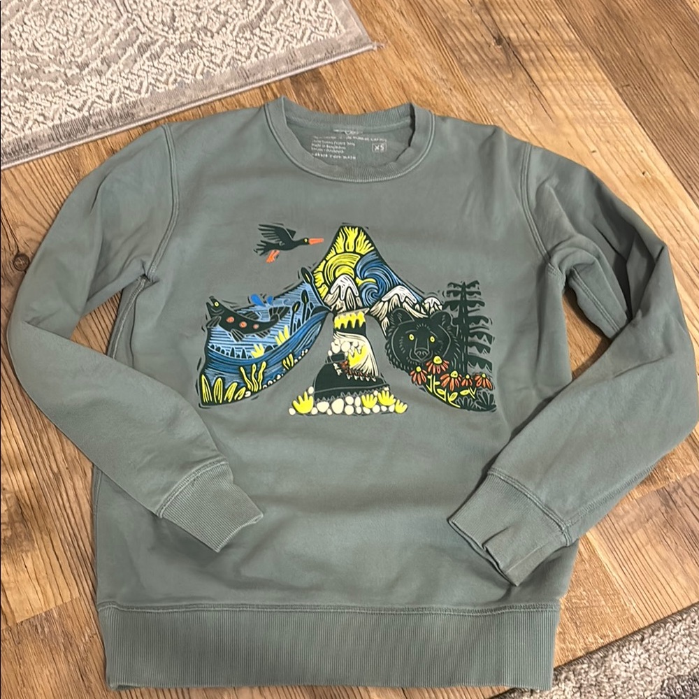 Public Lands Green Graphic Hoodie